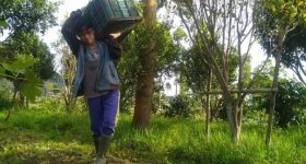 Digital Tools Complement Organic Farming at Islamic School in Indonesia - Vimarsana News