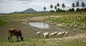 Public Land Protection Cells in India: A New Hope for Our Common Lands - Vimarsana News