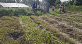 Farmers in Senegal Adopt Farming as a Business to Beat Climate Change - Vimarsana News