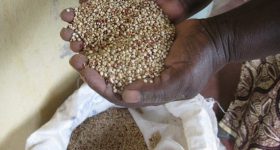 New World Records: More Weapons than Ever. And a Hunger Crisis Like No Other - Vimarsana News