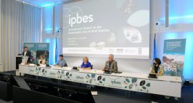 Wild Species Central to Human Survival, Now Use Sustainably says IPBES - Vimarsana News