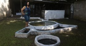 Biogas Production Awaits Greater Incentives in Cuba - Vimarsana News