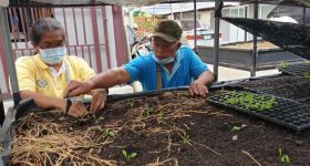 Differently-Abled Farmers Integrate Digital Technology, Aim To Set Example For Others - Vimarsana News