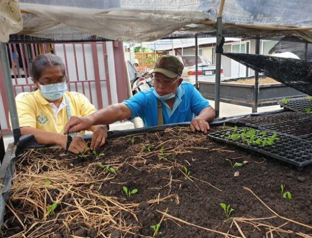 Rawan Bo-khuntod (left) and another farmer planting seedlings. Credit: Pattama Kuentak/IPS
