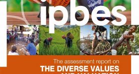 Decisions Based on Narrow Set of Market Values of Nature Underpin the Global Biodiversity Crisis - Vimarsana News