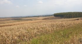 Tragic Irony of Hunger Deaths in Karamoja, Uganda - Vimarsana News