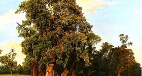 Thinking Like a Tree – A Tribute to Life Sustainers - Vimarsana News