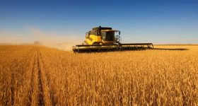 The Hunger Factory (II): The Modern Horsemen of the Apocalypse - Vimarsana News
