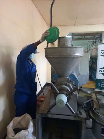 ​A factory worker pressing sunflower oil. Credit: ​Esmie Komwa Eneya/IPS​