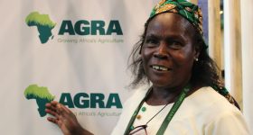 Africa Needs More Action, Fewer Words to Secure Food and Nutrition - Vimarsana News