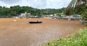 Caribbean Seeks Solutions to Devastating Annual Seaweed Influx - Vimarsana News