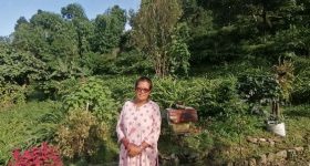 Nepal Government, UN Agency Seek Investors for Latest Cash Crop to Boom in Country's East - Vimarsana News