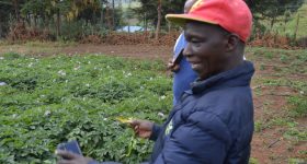 University Outreach Project Teaching Tissue Culture to Potato Farmers - Vimarsana News