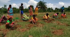 Indian Village Unlocks Treasure of Organic, Indigenous Farming - Vimarsana News
