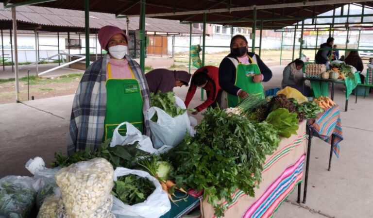 Lourdes Barreto (L) began to learn agroecological farming techniques four years ago, which improved her life in many aspects, including relationships in her family. At the Saturday open-air market in Huancaro, in the city of Cuzco, she wears the green apron that identifies her as a member of the Provincial Association of Agroecological Producers of Quispicanchi. CREDIT: Courtesy of Nadia Quispe - Lourdes Barreto says that as an agroecological small farmer she has improved her life and that of Mother Earth. Her story highlights the difficulties that rural women face on a daily basis, and their ability to struggle to overcome them