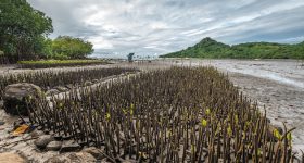 The Pacific is Under threat: We Must Act Now to Mobilise Climate Finance - Vimarsana News