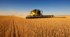 Market Lords, Much More than a War, Behind World's Food Crisis - Vimarsana News