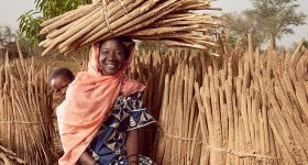 Africa's Processing Industry Holds Promise for Broader Economic Growth - Vimarsana News