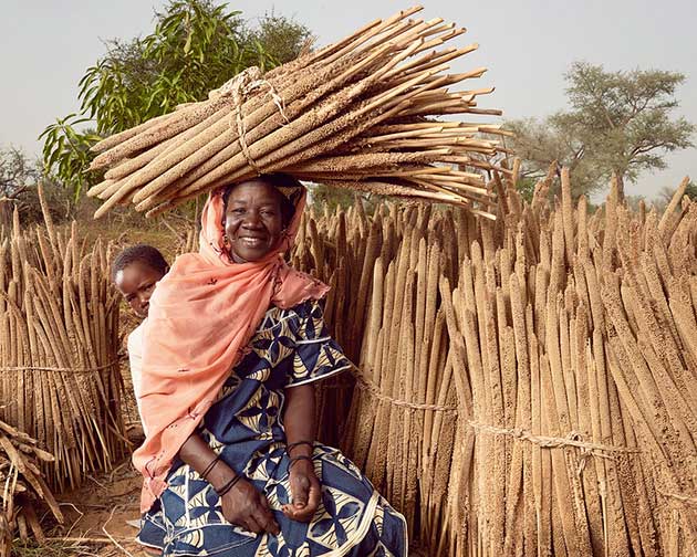 Africa’s Processing Industry Holds Promise for Broader Economic Growth