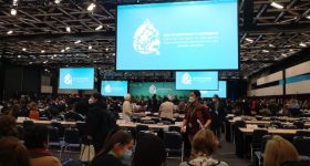 As COP15 Begins, Biodiversity's 'Paris Moment' Looks a Distant Dream - Vimarsana News