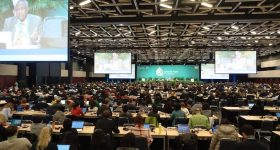 Global Biodiversity Framework: A 'Good Compromise' - Vimarsana News