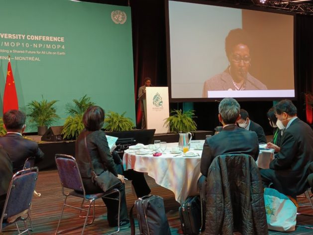 The executive secretary of the Convention on Biological Diversity, Elizabeth Maruma Mrema, highlighted on Friday Dec. 16 the results of the Nagoya Protocol on access to genetic resources and fair benefit sharing at an event during COP15 in the Canadian city of Montreal. But the talks have not reached an agreement on the digital sequencing of genetic resources. CREDIT: Emilio Godoy/IPS