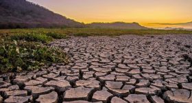 This Planet Is Drying Up. And these Are the Consequences - Vimarsana News