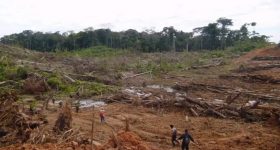 Management of Protected Areas Is a Latin American Priority for 2023 - Vimarsana News