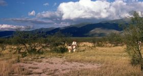 Protection for Indigenous Peoples Runs Up Against Hurdles in Mexico - Vimarsana News