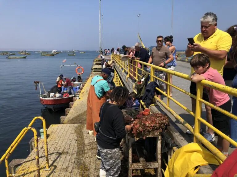 At the pier in Tongoy, a seaside resort in northern Chile, shellfish divers prepare piures (a kind of sea squirt), which they try to sell to tourists by explaining how to eat them. CREDIT: Orlando Milesi/IPS