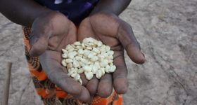 Most African Govts (3 in 4) Spend More on Arms, Less on Farms - Vimarsana News