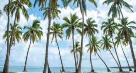 Comoros Has Huge Untapped Investment Potential - Vimarsana News
