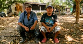 El Salvador Still Lacks Policies to Bolster Food Security - Vimarsana News