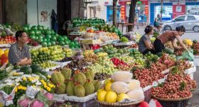 What Local Food Challenges and Choices Across Vietnam Reveal About a Global Push for Food Systems Transformation - Vimarsana News