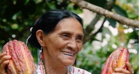 UNDP Assistance Helps Farmers to Meet New EU Deforestation Rules - Vimarsana News