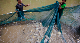 How the Rise of Timor-Leste's Aquaculture Sector Is a Blueprint for Other Small Island Nations - Vimarsana News