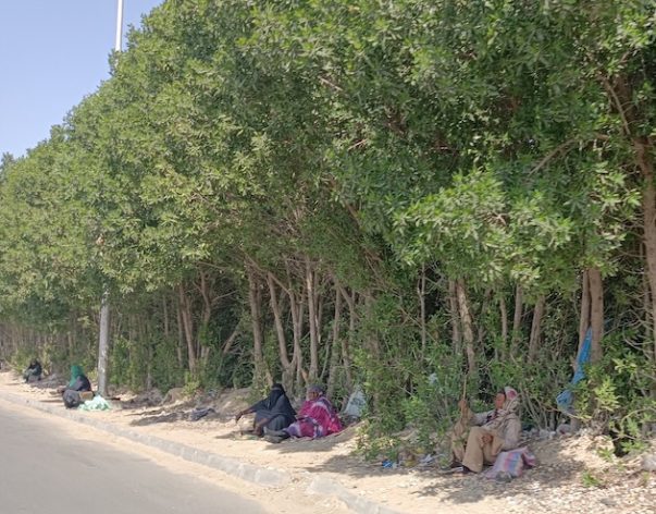 As Game of Thrones Rages in Sudan, the Neighbors Pay the Price - Vimarsana News