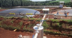 Livestock Producers Seek to Integrate Biogas and Animal Protein Market in Brazil - Vimarsana News