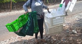Peru's Agro-Export Boom Has not Boosted Human Development - Vimarsana News