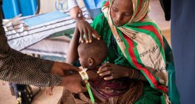 Acute Hunger an 'Immediate Threat' To Over a Quarter of a Billion People - Vimarsana News