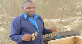 Kenyan Scientist's Trend-Setting Research into Health Benefits of Snails - Vimarsana News