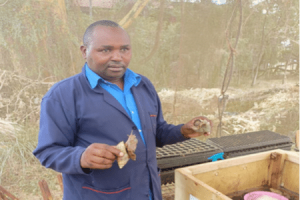Kenyan Scientist’s Trend-Setting Research into Health Benefits of Snails
