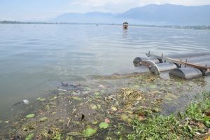 Thousands of dead fish in Dal Lake, Kashmir, are of concern [...] <a class=