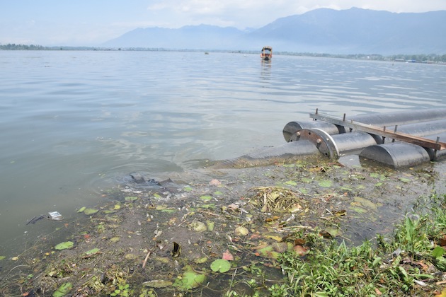 Massive Fish Mortality Strikes Kashmir's Lake, Threatens Livelihoods - Vimarsana News