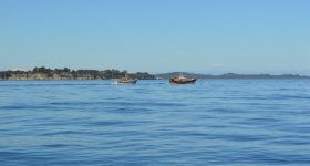 Guess Who Is the Worst Enemy of the Oceans (And Everywhere Else)? - Vimarsana News