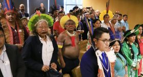 A 1904 Massacre Could Help Save the Future of Indigenous Peoples in Brazil - Vimarsana News