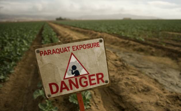 Paraquat - Pesticide Exposure Drives Environmental Injustice: Latino Farmworkers and People Living Near Farming Communities At High Risk of Developing Parkinson's - Vimarsana News