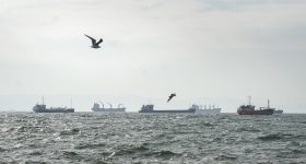 Black Sea Grain Initiative 'Paused', Africa Must Live Beyond Dependence - Vimarsana News