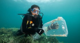 New Research Seeks Understanding Global Warming and the Ocean - Vimarsana News
