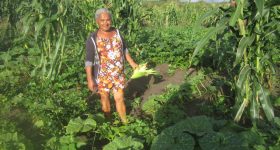 'Passion Seeds' Fertilize Brazil's Semiarid Northeast - Vimarsana News